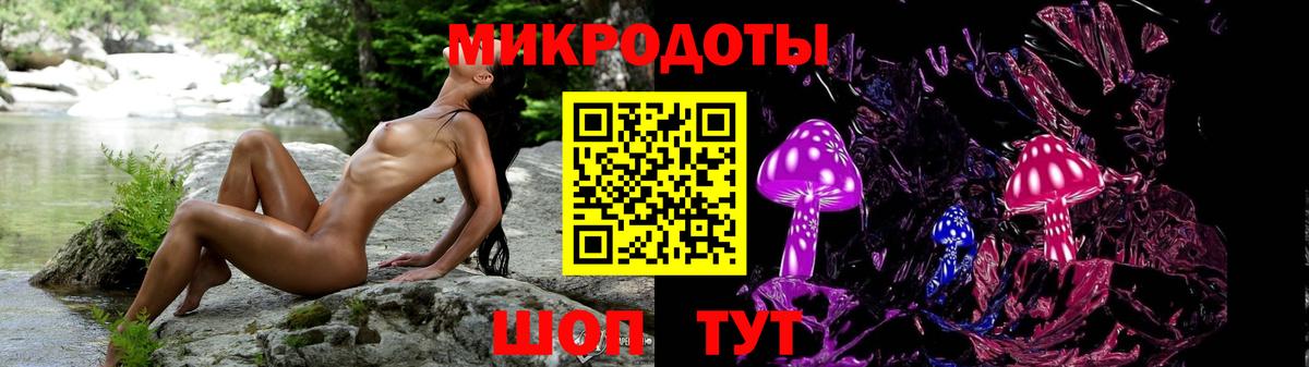Галлюциногенные грибы Psilocybine cubensis Елец