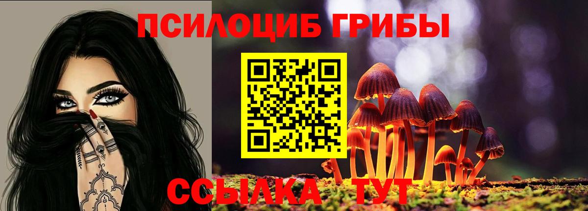 Галлюциногенные грибы мухоморы  Галлюциногенные грибы Cubensis  Елец  Вход с VPN 